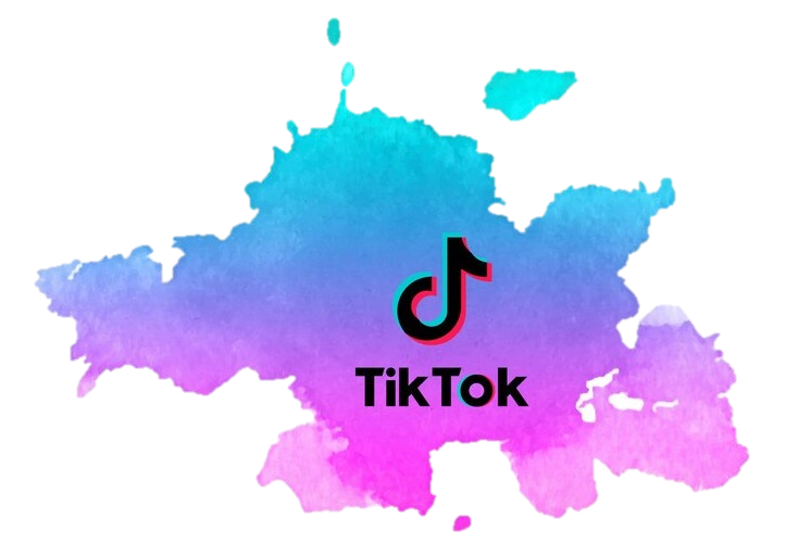 What Can You Extract From TikTok